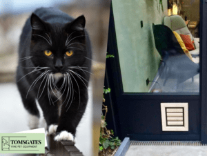 Houten kattenluik geïnstalleerd in een blauw paneel onder een raam van een moderne woning - Tomsgates