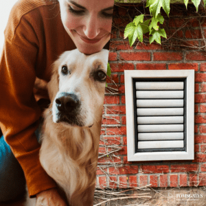 Gray oiled wooden Beethoven dog flap for Golden Retriever installed in a masonry brick wall - Tomsgates