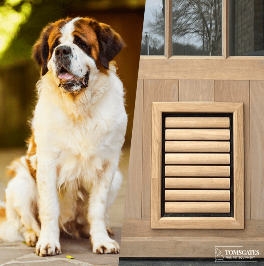 Draught free insulated secure and quiet dog door Tomsgates